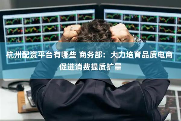 杭州配资平台有哪些 商务部：大力培育品质电商 促进消费提质扩量