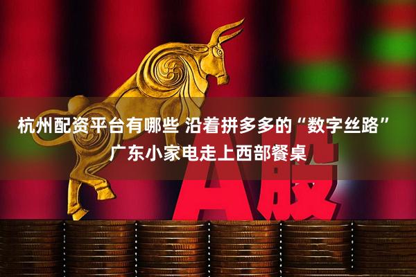 杭州配资平台有哪些 沿着拼多多的“数字丝路” 广东小家电走上西部餐桌