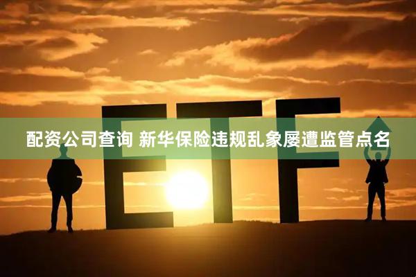 配资公司查询 新华保险违规乱象屡遭监管点名